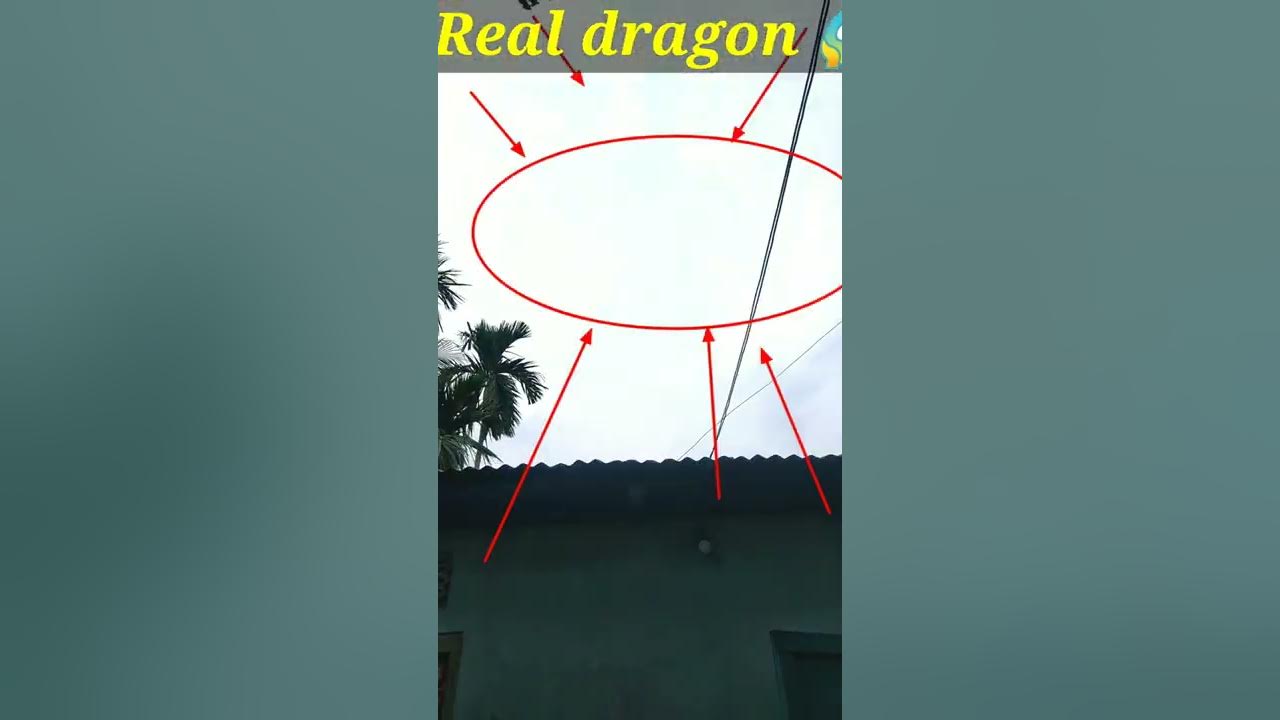Real flying dragon caught on camera Again 😱😱 OMG watch till end  #Shorts #viral