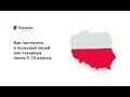 Как поступить в польский лицей или техникум после 9-10 класса