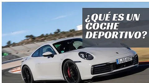 ¿Qué coches tienen más probabilidades de ser parados?