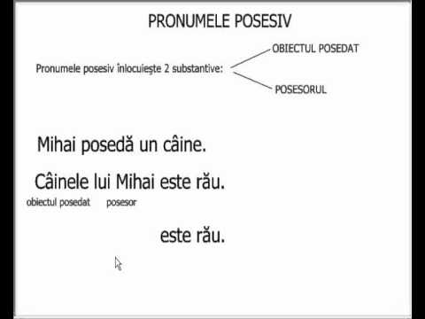 Pronumele posesiv