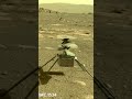 Mars Rover Gives Birth