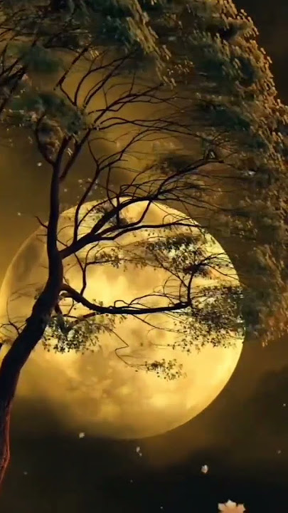 indahnya bulan purnama