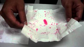 KANCOAT Glass Coating..AVI screenshot 3
