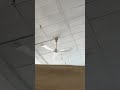 Ceiling Fans At Don’t Furniture Store 3