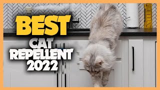 Top 10 Best Cat Repellents 2022 Picks