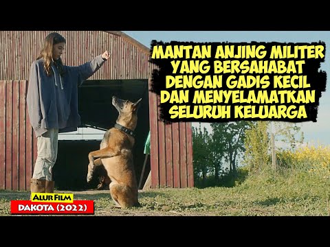 Video: A Dog's Nose Knows (Cara Menemukan Truffles Mahal)