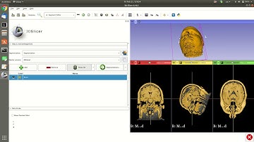 Slicer 2020 05 Manual Segmentation
