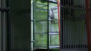 Download Lagu CUCAK KOPI/KOPI-KOPI GACOR ISIAN VARIASI COCOK BUAT MASTERAN. #burung #burungkicau #masteran #2022 MP3