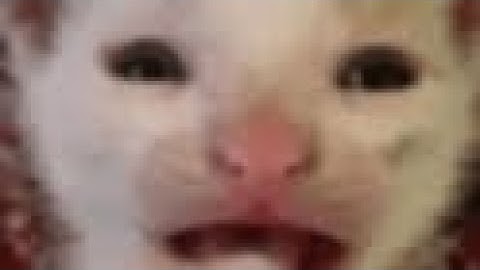 POV: Your first match on is an unemployed lobby