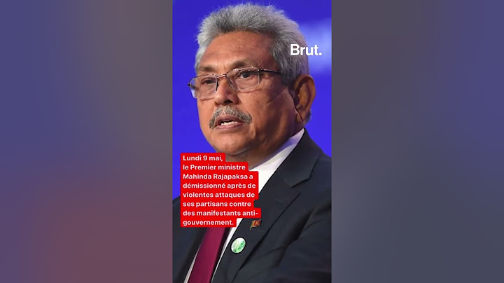 Violents affrontements, démission du Premier ministre : la situation au Sri Lanka expliquée