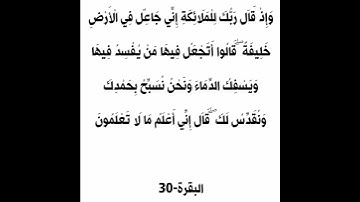 سورة البقرة الآية 30 #القرآن_الكريم #سورة_البقرة #الحمزة_سدراية