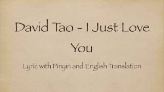 David Tao 陶喆 - I Just Love You 就是爱你 with Pinyin and English Translation