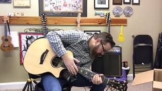 Box Opening of Genzler Acoustic Amplifier