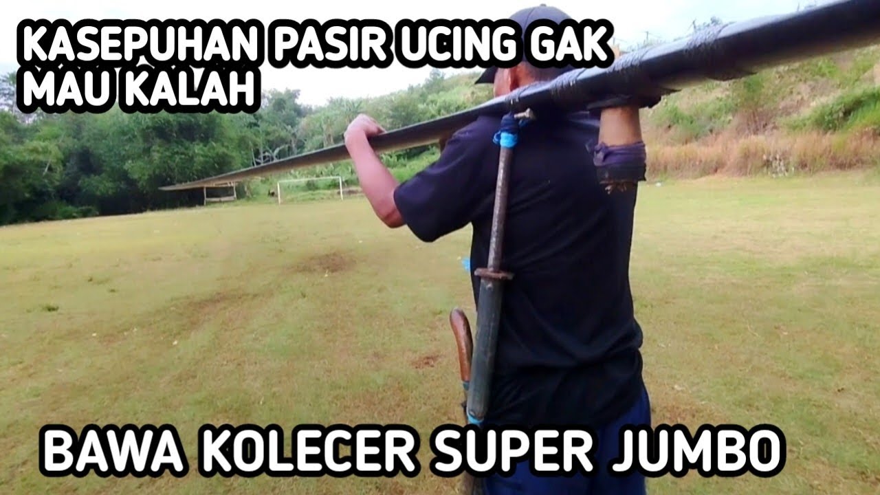 Kasepuhan pasir ucing gak mau kalah, bawa kolecer super jumbo