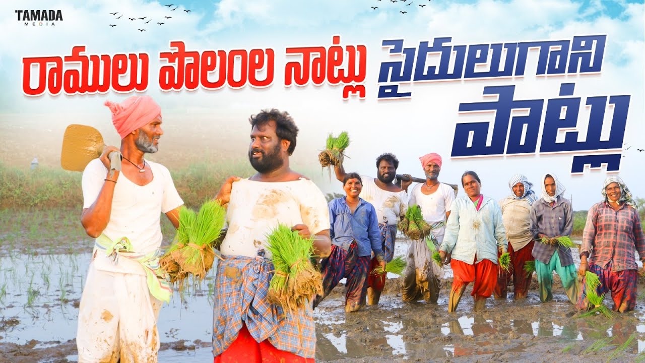 నాట్లనాడు సైదులుగాని పాట్లు// palle ramulu village comedy// ASMR comedy #trending #viral #funny #fun