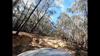 Diggers Track - Lerderderg State Park / Wombat State Forest