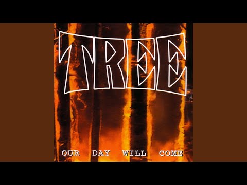 Death Wish Video