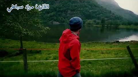 سورة ص كاملة