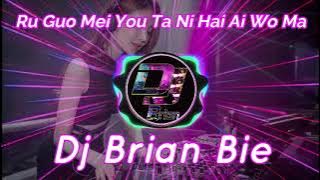 Ru Guo Mei You Ta Ni Hai Ai Wo Ma 如果没有他你还爱我吗 六哲 Remix By Dj Brian Bie