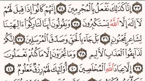 الصفحة رقم 447 الشيخ ماهر المعيقلي - القرآن الكريم - Quran