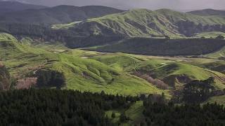 Carbon credits vs sheep farms: The Growing Divide in Rural New Zealand
