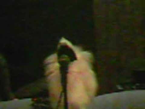 Elf Guy Switch Tongue Remix Music Video