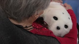 Les bienfaits des peluches : personnes âgées & Alzheimer – La Pelucherie