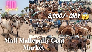 Mall Mallepally Goat Market Update 2024 Qurbani Ke Bade Sing Wale Bakre |