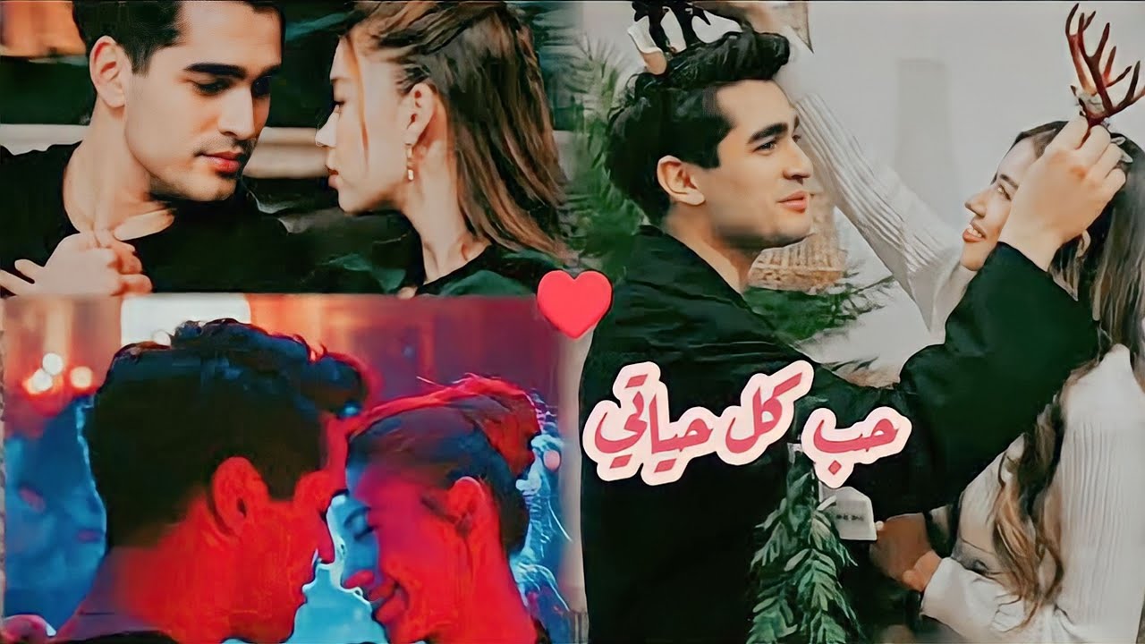 حب كل حياتي ||إليسا||💗||سيران&فريد|| [seyran&ferit] - طائر الرفراف