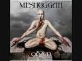 Meshuggah-Combustion