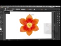 How To Use The Pen Tool in Adobe Illustrator, Photoshop and InDesign CS6