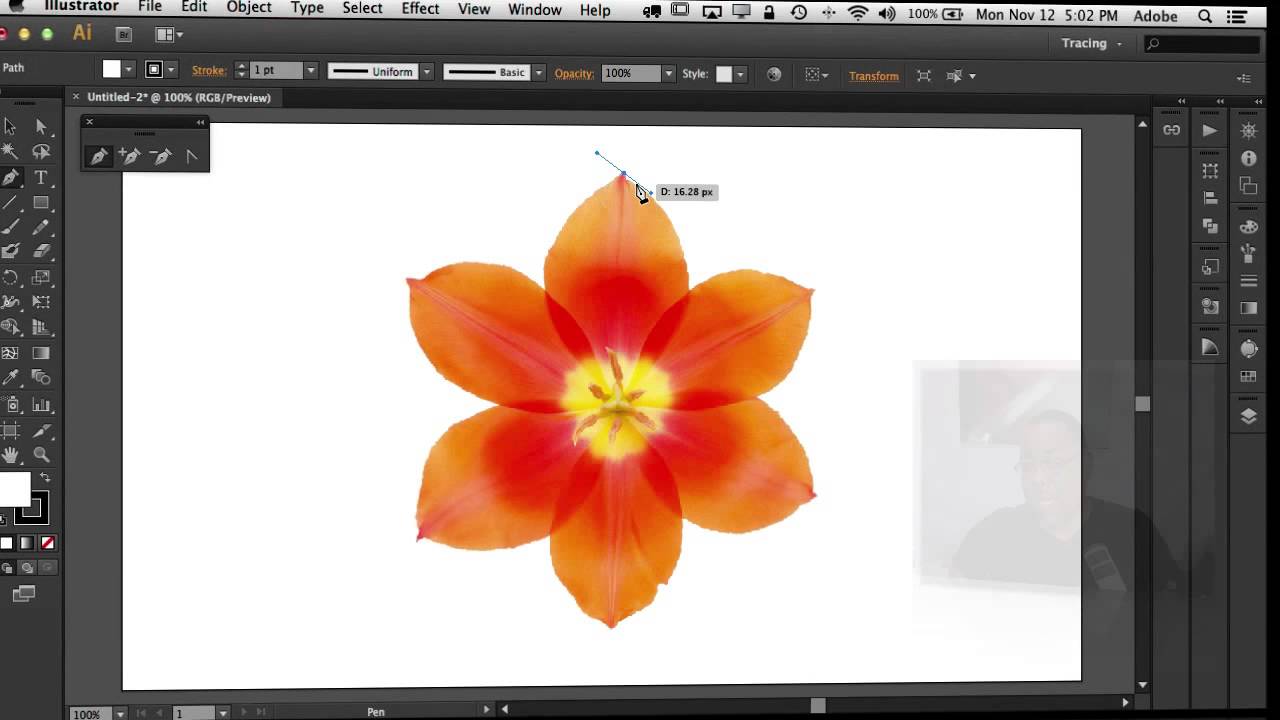 How To Use The Pen Tool in Adobe Illustrator, Photoshop and InDesign ...