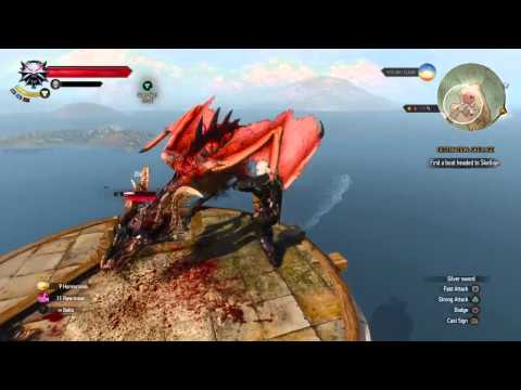 The Witcher 3 - Wyvern