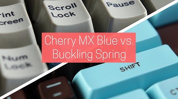 Cherry MX blue vs. Buckling Spring keyboard switches