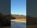 Eflite Viper low pass
