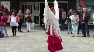 Flamenco Dance (Barbara Thornes) - Taste Moor, Sheffield 2016