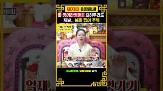 2024년8월 돼지띠운세이 날짜에 묵은기운 꼭! 벗겨내세요!#95년생 #83년생 #71년생 #59년생 #47…