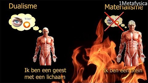 Introduction Wittgenstein & Philosophy of Mind