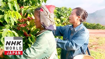 Ethnic Minorities Leading the Coffee Rush: Yunnan, China - Asia Insight