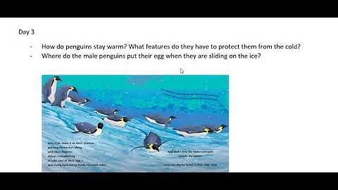 14.04.2020 EYFS/Key Stage 1 Whole Class Read Questions