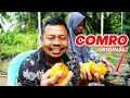 BUAH LANGKA! SEUMUR HIDUP BARU SEKALI NEMU BUAH INI?!