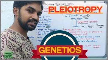 Pleiotropy | Pleiotropic genes | Genetics