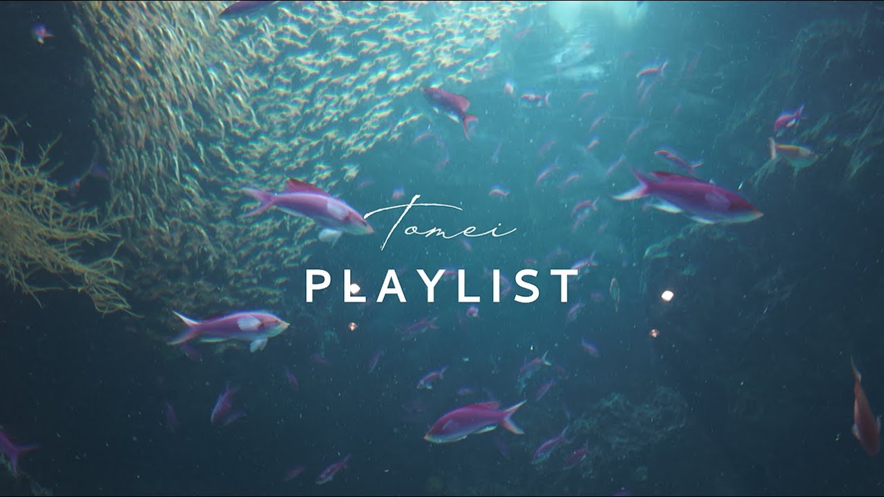 【Playlist】 Наедине в мир тихой воды