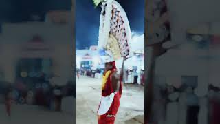 IMG 7102