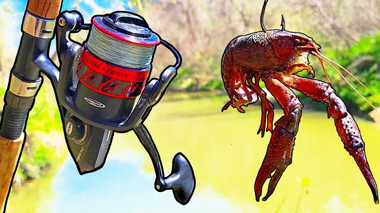 Creek Fishing with Live Crawfish for Bait! (Fish on EVERY CAST!) 