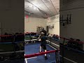 #boxing #mma #training #subscribe #viralshort #rbs #romerosboxingschool