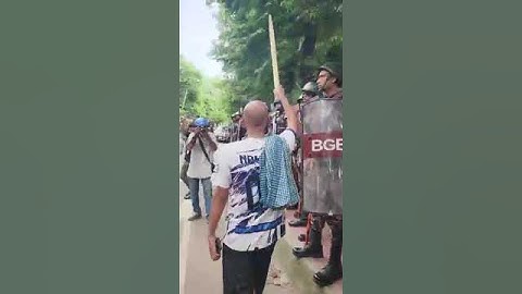 বিজিবি কি করে সীমান্তে মানুষ মরে