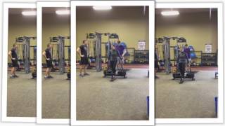 Trainer Tip Tuesday - Buddy Prowler Push