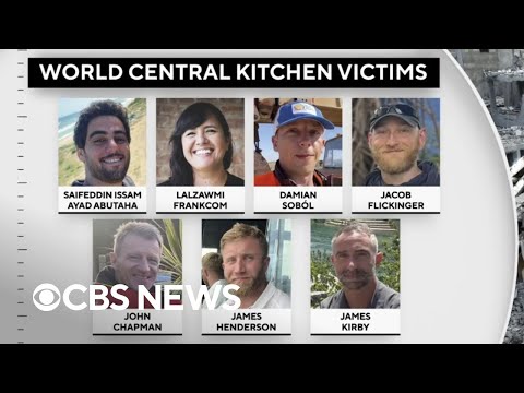 World Central Kitchen convoy in Gaza appears to have been hit several times by IDF