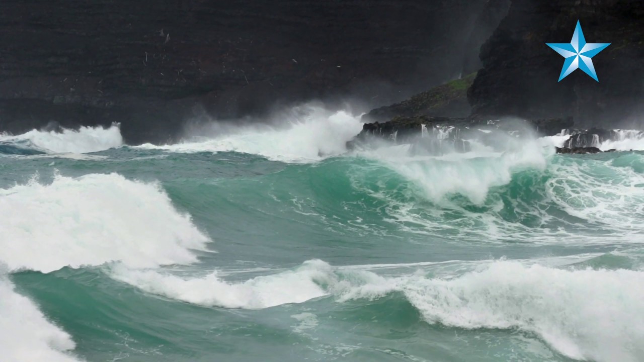 希少❗️HIGH SURF WARNING SIGN HAWAII（ノースショア） 希少❗️HIGH SURF WARNING SIGN HAWAII（ノースショア）